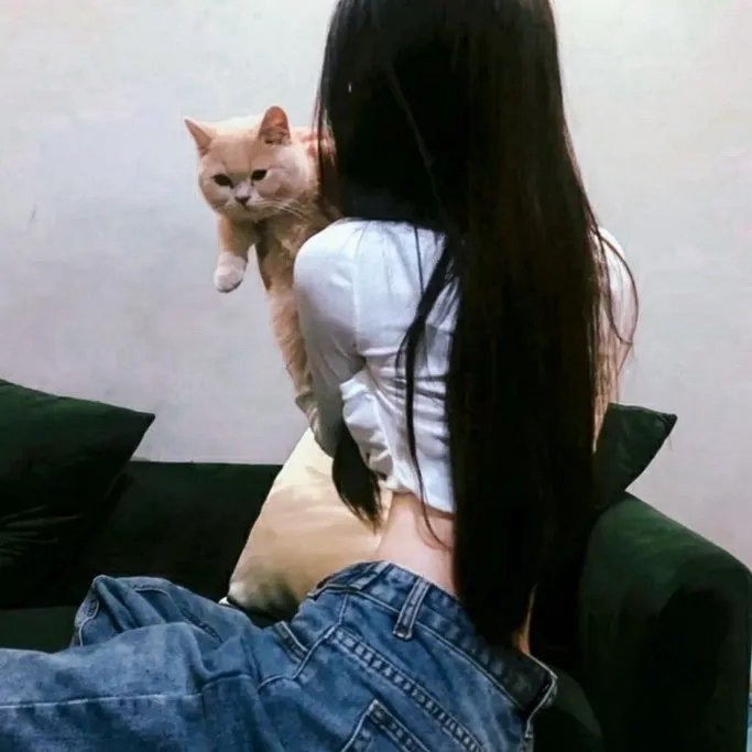 人前叫多莉，人后叫凯蒂